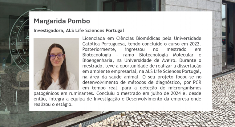 MargaridaPombo